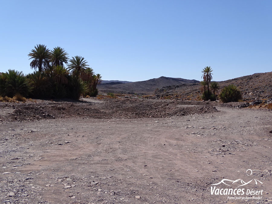 Tout savoir avant de partir dans le désert marocain